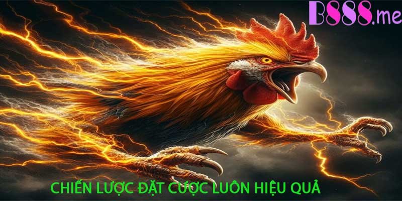 Kinh Nghiệm Chọn Kèo Đá Gà